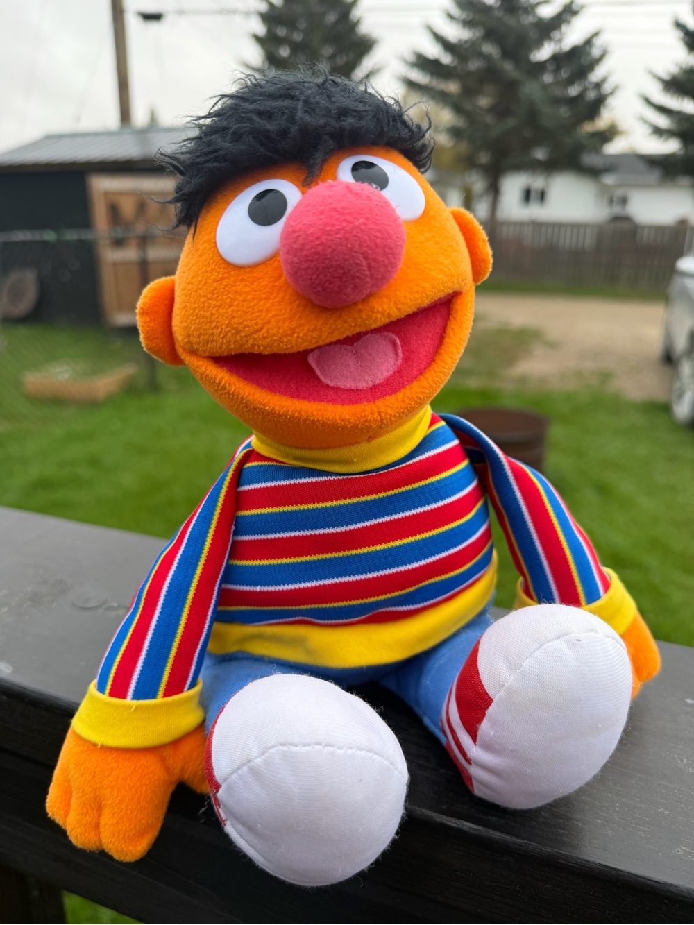 Ernie Plush Toy - 2011 Gund